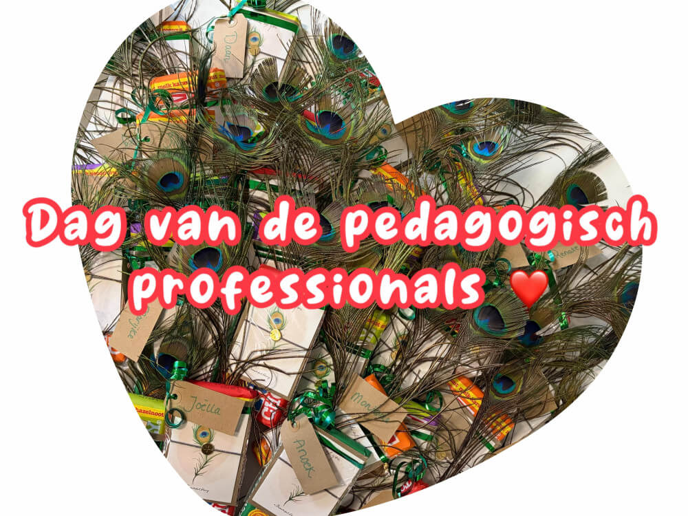 dagvandepedagogischprofessional2.jpg